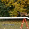 agility 2011-10-30